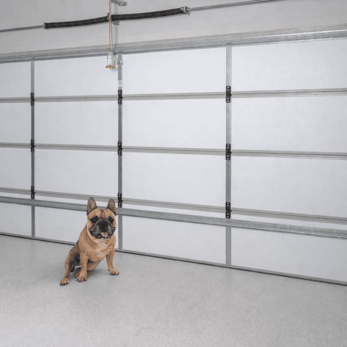 Bowie the French bulldog relaxing in a comfortable, insulated garage using ThermaDoor garage door insulation in an Australian home